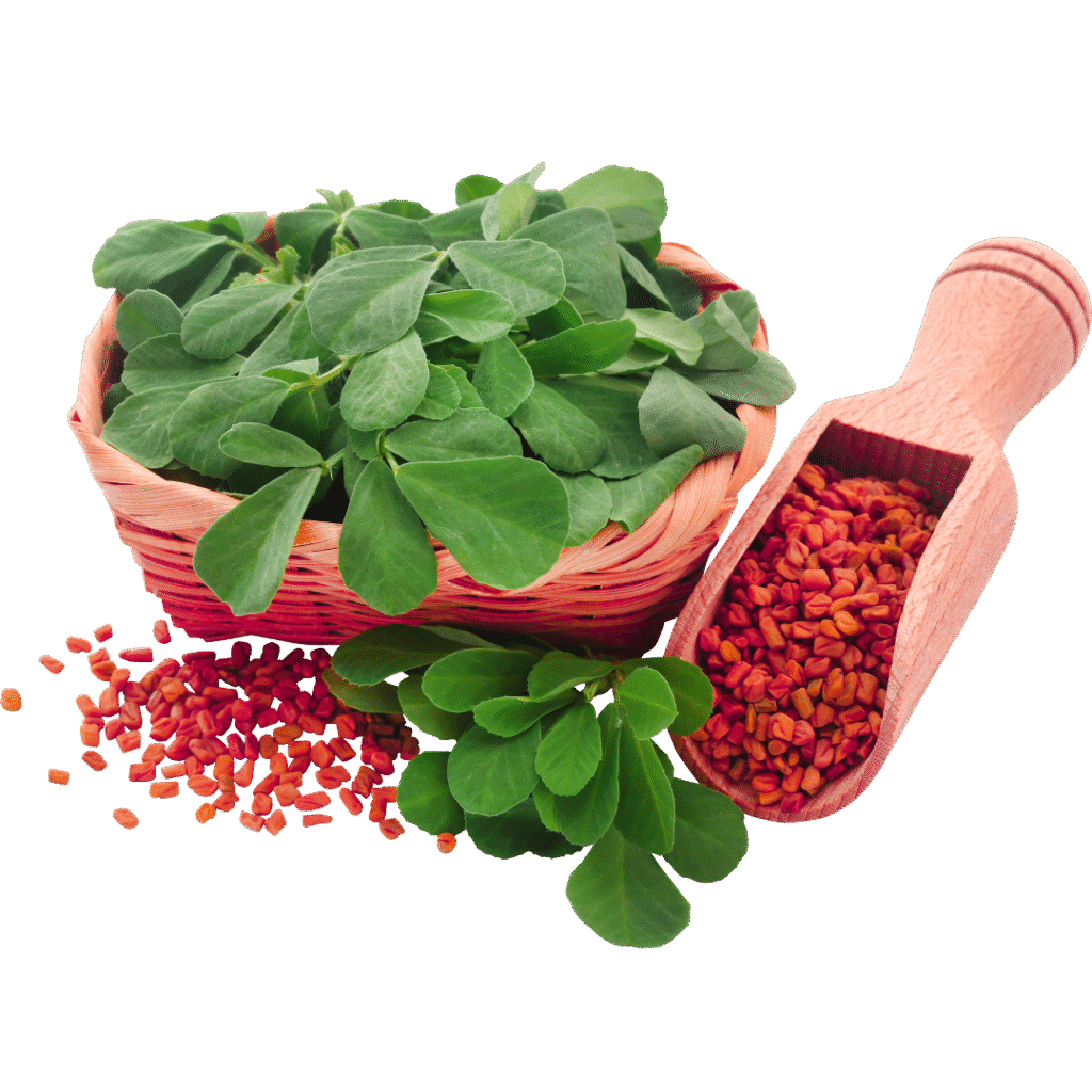 Kissan Products Images 1024x1024