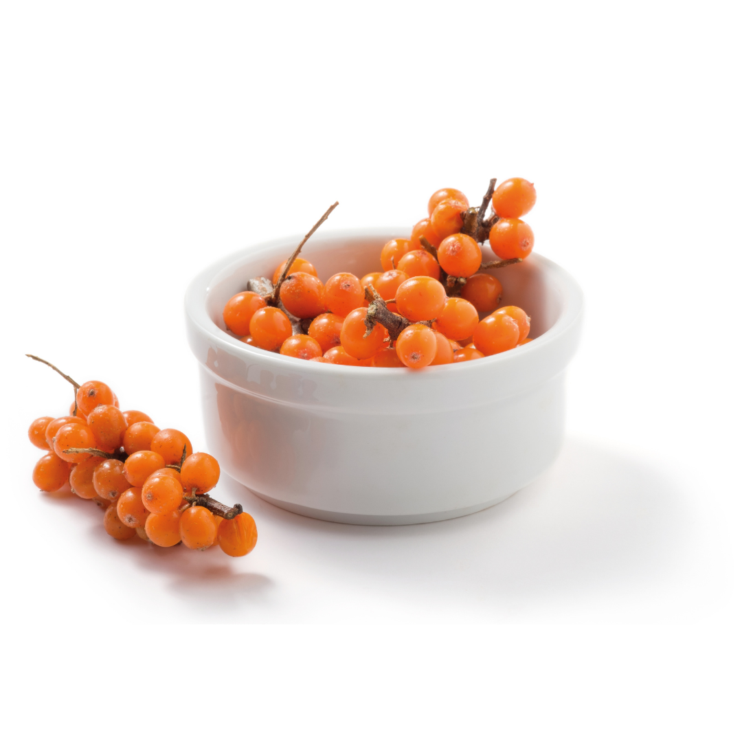 Seabuckthron berries Sea Buckthorn Berries 100 Grams